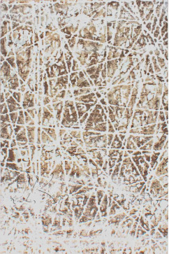 ZARA W7053 18041 Ковер из полиэстера, в современном винтажном стиле, мягкий, шелковистый. Подойдет в любую комнату. 242х363