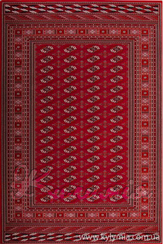 NAIN 6211/677 7090 Класичні бельгійські килими високої щільності з натуральної вовни з насиченою палітрою фарб. 322х483