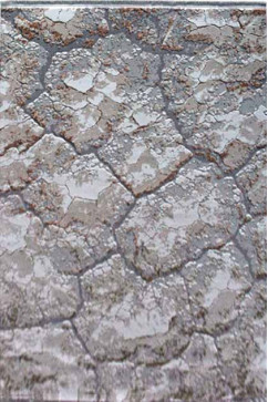 NESSA P853A 17334 Акрилові килими преміум класу з легким рельефом.Тонкі, м'які. Підійдуть до сучасного інтер'єру. 242х363