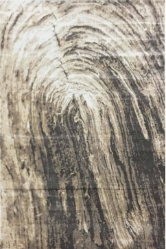 SILA W2248 16355 Ковер в современном винтажном  стиле из высококачественного полипропилена.Подойдет в любую комнату. 242х363