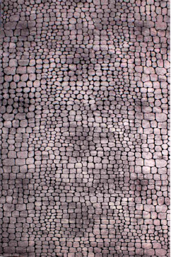 SOFIA 7436A 15903 Килими з поліпропілену з поліестром в сучасному вінтажному стилі пiдiйдуть в любий  інтер'єр. 242х363