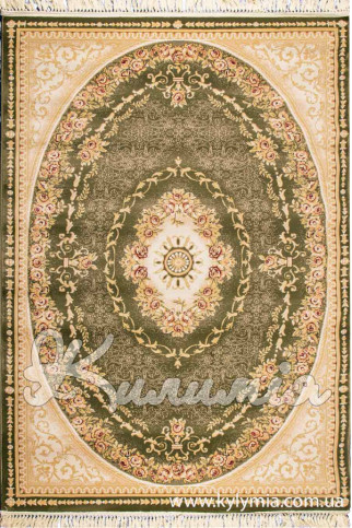 TURKISTAN Y231B 6548 Турецкие ковры из полипропилена высокой плотности украсят и дополнят ваш интерьер. 322х483
