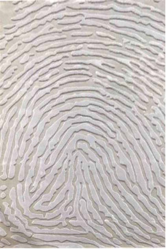 VALS W2227 16308 Акрилові килими преміум класу з легким рельефом.Тонкі, м'які. Підійдуть до сучасного інтер'єру. 242х363