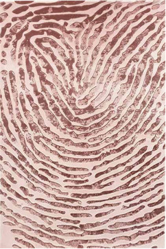 VALS W2227 16975 Акрилові килими преміум класу з легким рельефом.Тонкі, м'які. Підійдуть до сучасного інтер'єру. 242х363