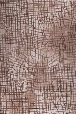 VALS W2329 15929 Акрилові килими преміум класу з легким рельефом.Тонкі, м'які. Підійдуть до сучасного інтер'єру. 242х363