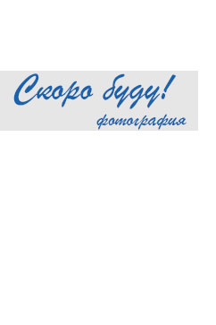 P Р 1298/46 16709 Ковровая дорожка из полиамида на войлочной основе. Удобна в уборке. Подойдет для прихожих и офисов. 242х363